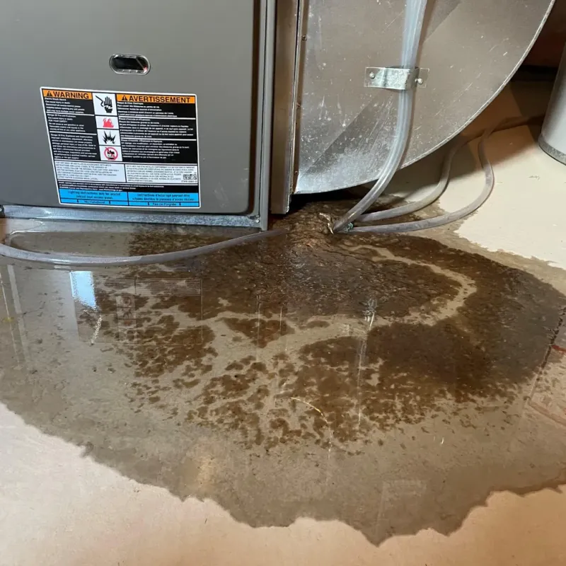 Appliance Leak Cleanup in Northfield, MA